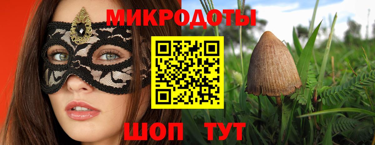 Севастополь  Псилоцибиновые грибы Psilocybine cubensis  Вход с VPN 
