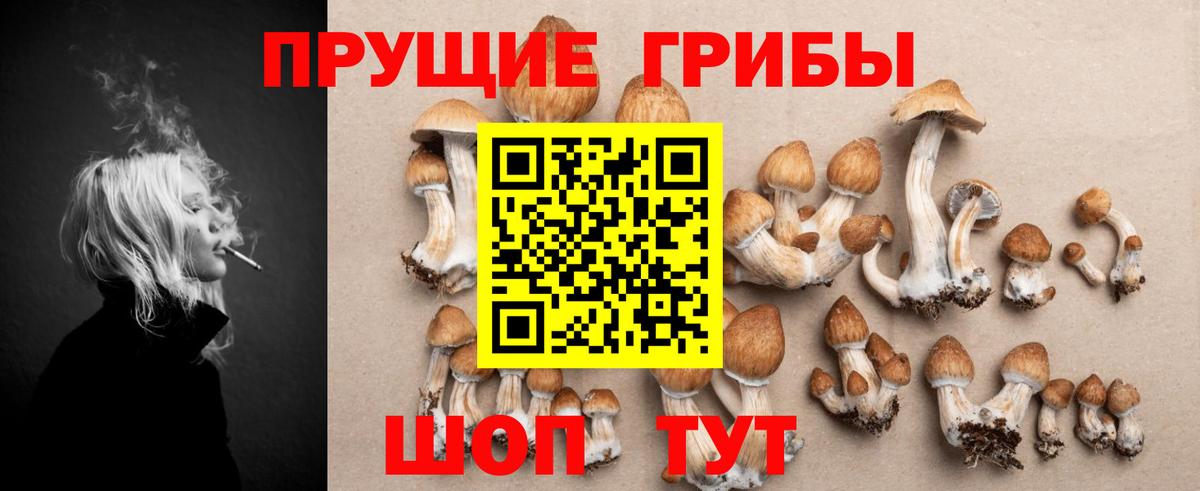 Галлюциногенные грибы мухоморы Севастополь